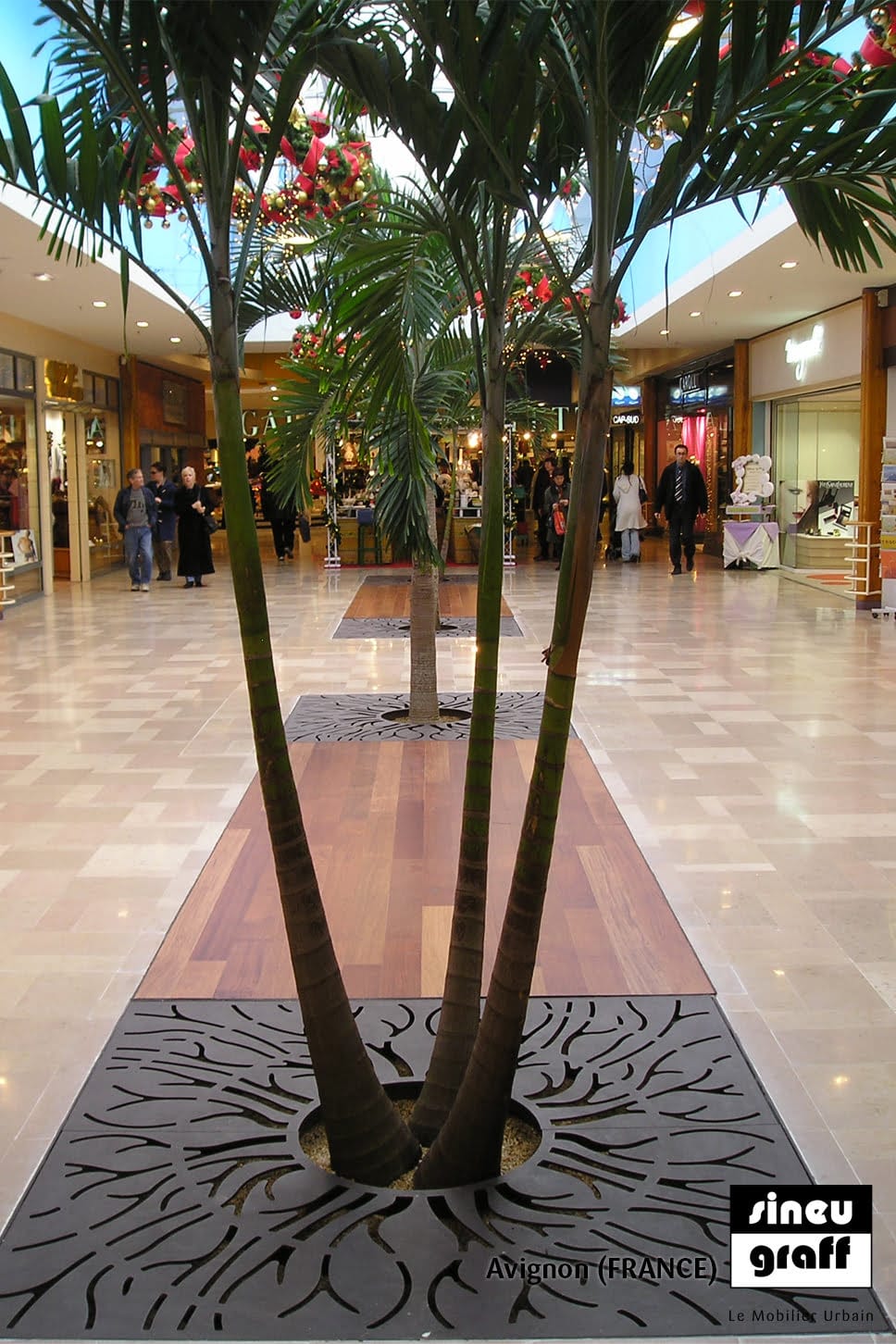 p-17539-4225c05-tree-grille-2000-roots-avignon-84-5.jpg